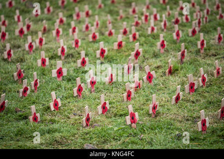 Armistice Day Mohnblumen auf kleinen hölzernen Kreuzen. England. UK. Stockfoto