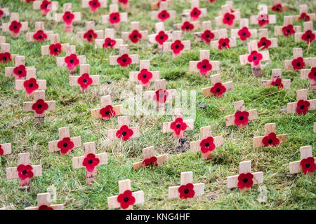 Armistice Day Mohnblumen auf kleinen hölzernen Kreuzen. England. UK. Stockfoto