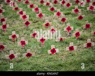 Armistice Day Mohnblumen auf kleinen hölzernen Kreuzen. England. UK. Stockfoto