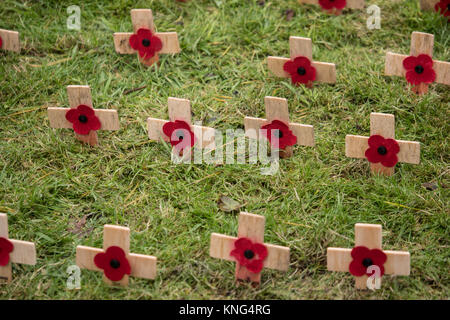 Armistice Day Mohnblumen auf kleinen hölzernen Kreuzen. England. UK. Stockfoto