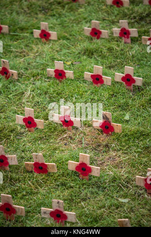 Armistice Day Mohnblumen auf kleinen hölzernen Kreuzen. England. UK. Stockfoto