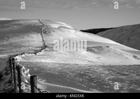 Schaf-/Lager Fechten im Schnee. Ceredigion Wales Stockfoto