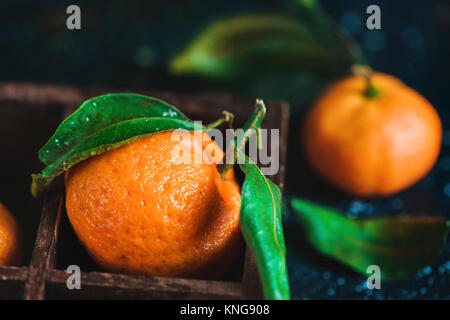 Nahaufnahme der Mandarinen in einer Holzkiste auf einem dunklen Hintergrund. Wassertropfen auf einer Fläche. Dunkle essen Fotografie mit leuchtendem orange Obst und Kopie Raum Stockfoto