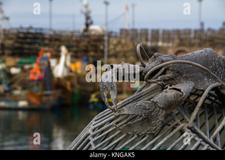 Nahaufnahme einer Skulptur von Hummer klettern über einen Lobster Pot am Hafen von Brixham. Brixham, Torbay, Devon, Großbritannien Stockfoto