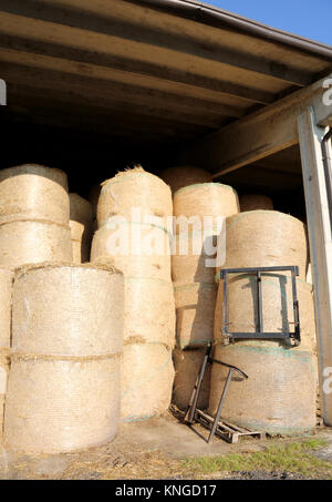 Viele Heuballen im Bauernhaus Store verwendet die Tiere auf dem Bauernhof zu füttern Stockfoto