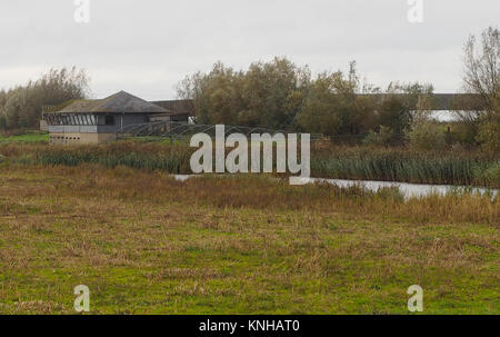 Hundert Fuß Bank, Welney PE14 9TN Stockfoto