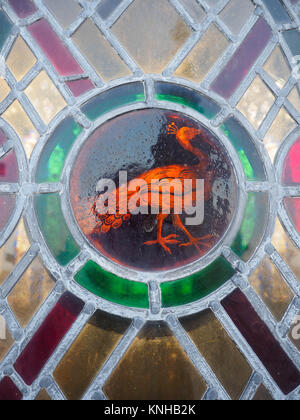 Bild von PFAU IN EINEM STÜCK GLASFENSTER IN DER Laterne, die Kathedrale von Ely, Cambridgeshire Stockfoto