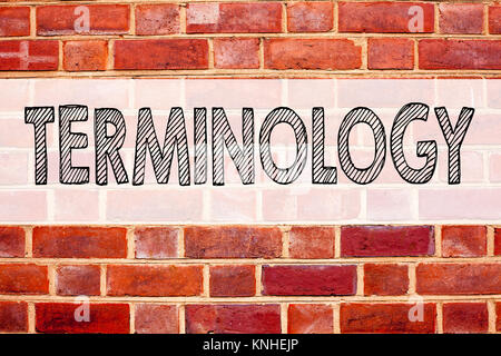Konzeptionelle Ansage Bildunterschrift Inspiration zeigen Terminologie. Business Konzept für Medizinische legalistischen Terminologische auf alten Ziegel geschrieben zurück Stockfoto