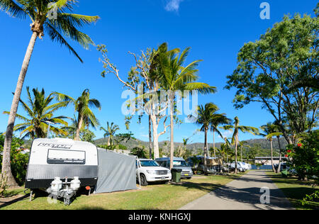 Holiday Park bei Airlie Beach, Whitsunday Coast, Queensland, Queensland, Australien Stockfoto