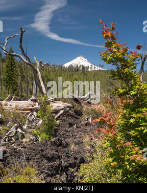 Jefferson Creek Trail durch ein Lavafeld, bevor über einen Kamm zu Mt. Jefferson Stockfoto