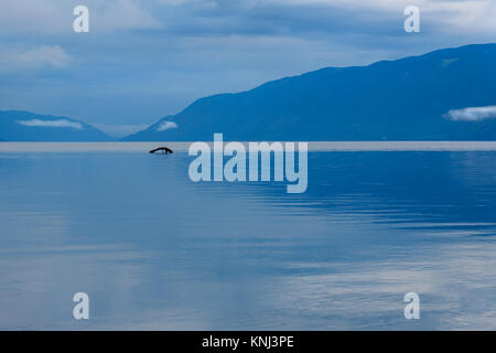 Teletskoye See am Morgen bewölkt. Blick vom südlichen Ufer. Republik Altai, Sibirien. Russland Stockfoto