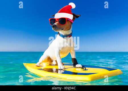 Santa claus Hund Surfen auf einem Surfbrett mit Sonnenbrille und roter Mütze an der Küste im Urlaub Urlaub Stockfoto