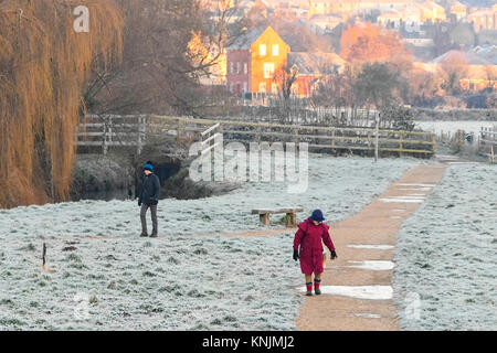 Bridport, Dorset, Großbritannien. 12. Dezember 2017. UK Wetter. Hund Wanderer durch eine Frost bedeckt Askers Wiese in Bridport in Dorset auf dem eisigen Morgen Spaziergang nach einer Nacht von minusgraden. Foto von Graham Jagd-/Alamy leben Nachrichten Stockfoto