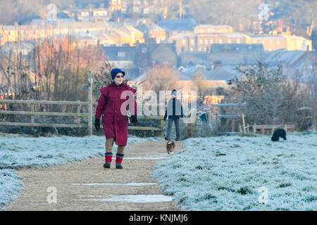 Bridport, Dorset, Großbritannien. 12. Dezember 2017. UK Wetter. Ein Hund Walker durch Frost bedeckt Askers Wiese in Bridport in Dorset auf dem eisigen Morgen Spaziergang nach einer Nacht von minusgraden. Foto von Graham Jagd-/Alamy leben Nachrichten Stockfoto