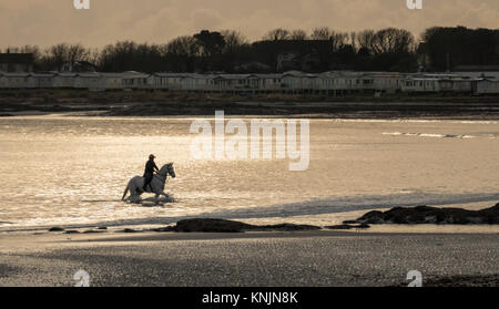 Ballywalter, Co, N Irland, Großbritannien. 12 Dez, 2017. Wetter news. N frühen Frost gibt Weg für sehr ruhigen Bedingungen heute Morgen im Ballywalter, Nordirland. copyright Credit: Gary Telford/Alamy leben Nachrichten Stockfoto