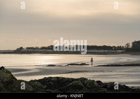 Ballywalter, Co, N Irland, Großbritannien. 12 Dez, 2017. Wetter news. N frühen Frost gibt Weg für sehr ruhigen Bedingungen heute Morgen im Ballywalter, Nordirland. copyright Credit: Gary Telford/Alamy leben Nachrichten Stockfoto