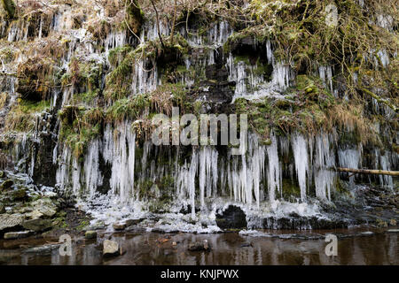 Ashgill Garrigill, Cumbria, Großbritannien. Dienstag 12. Dezember 2017. UK Wetter. Mit übernachtung Abkuehlung bis -13 °C in einigen Teilen des Vereinigten Königreichs, spektakuläre Eiszapfen auf dem Eis überzogen Felsen in der Nähe von Ashgill Garigill in Cumbria gebildet. Quelle: David Forster/Alamy leben Nachrichten Stockfoto