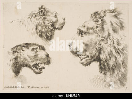 Dieser 1641 von Stefano della Bella gedruckte Druck zeigt Köpfe von drei Löwen und illustriert Tierstudien und italienische Drucktechniken des 17. Jahrhunderts. Stockfoto