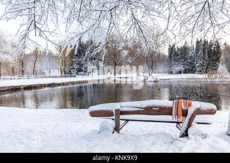 Der erste Schnee in der City Park mit Enten auf einem vereisten Teich und eine Bank mit Schnee bedeckt Stockfoto