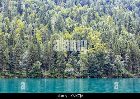 In der Nähe der deutschen Konigssee Berchtesgaden mit Bäumen Stockfoto