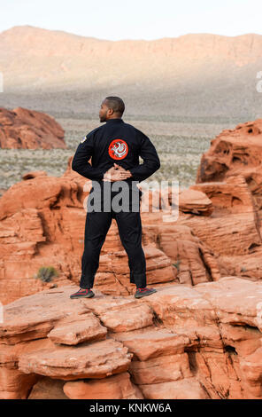 African American man praktizieren Kampfkunst in der Wüste von Nevada. Stockfoto