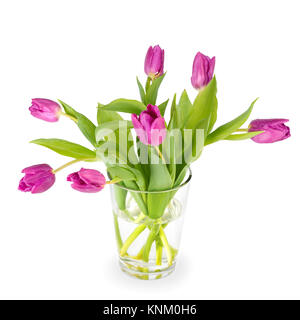 Lila Tulpen in einem Glas Vase auf weißem Hintergrund Stockfoto