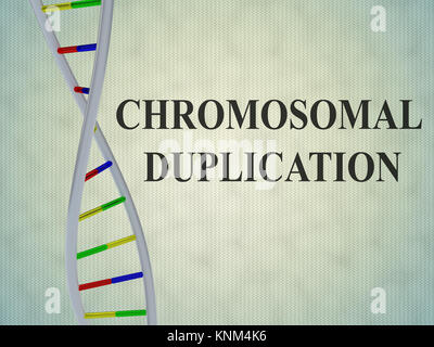 3D-Darstellung der "Chromosomale VERVIELFÄLTIGUNG' Skript mit DNA-Doppelhelix, auf hellblauem Hintergrund. Stockfoto