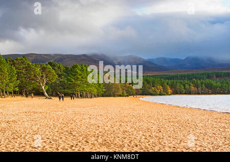 Menschen zu Fuß am Sandstrand am Loch Morlich, Glenmore, Scottish Highlands, helle stürmischen Herbsttag, die Misty Cairngorm Plateau hinter steigt. Stockfoto
