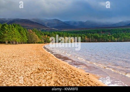 Menschen zu Fuß am Sandstrand am Loch Morlich, Glenmore, Scottish Highlands, helle stürmischen Herbsttag, die Misty Cairngorm Plateau hinter steigt. Stockfoto