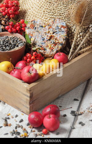 Bird Buffet Bestandteile einschließlich Holzäpfel, Sonnenblumenkerne, Karde, holzbär Beeren und eine suet Cake, in einem hölzernen Fach gesammelt Stockfoto