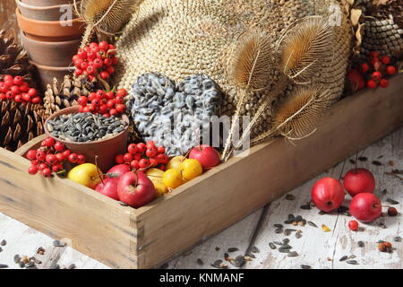 Bird Buffet Bestandteile einschließlich Holzäpfel, Sonnenblumenkerne, Karde, holzbär Beeren und eine suet Cake, in einem hölzernen Fach gesammelt Stockfoto