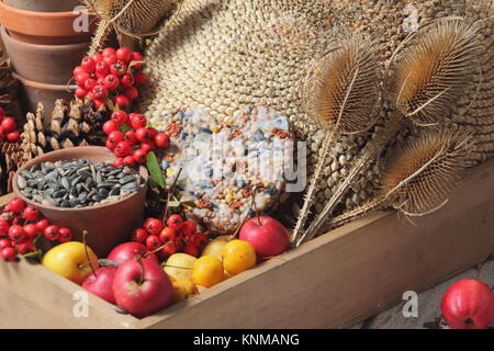 Bird Buffet Bestandteile einschließlich Holzäpfel, Sonnenblumenkerne, Karde, holzbär Beeren und eine suet Cake, in einem hölzernen Fach gesammelt Stockfoto