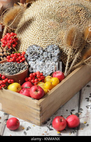 Bird Buffet Bestandteile einschließlich Holzäpfel, Sonnenblumenkerne, Karde, holzbär Beeren und eine suet Cake, in einem hölzernen Fach gesammelt Stockfoto