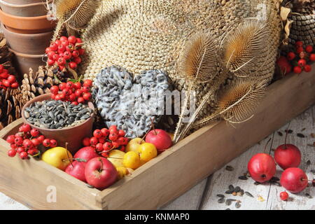 Bird Buffet Bestandteile einschließlich Holzäpfel, Sonnenblumenkerne, Karde, holzbär Beeren und eine suet Cake, in einem hölzernen Fach gesammelt Stockfoto