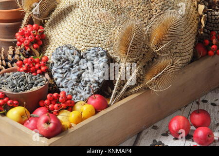 Bird Buffet Bestandteile einschließlich Holzäpfel, Sonnenblumen Samen, Karde, holzbär Beeren und eine suet Cake, in einem hölzernen Fach gesammelt Stockfoto