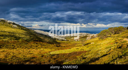 Alpine National Park in dramatischer Sonnenuntergang, Falls Creek, Victoria, Australien. Sturm näherte sich Falls Creek und die Alpine National Park als ein Tag dra Stockfoto