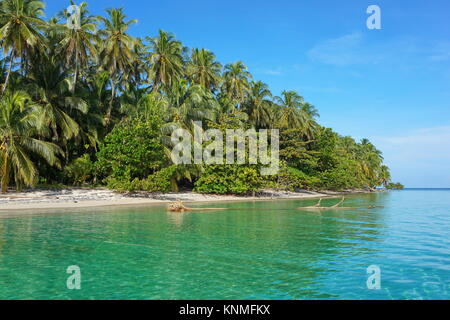 Mittelamerika, Panama, wilde Insel Küste mit üppiger tropischer Vegetation, Bastimentos Marine National Park, Bocas del Toro Stockfoto