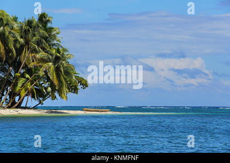 Tropische Insel mit schiefen Kokospalmen und einem hölzernen Einbaum am Strand, Karibik, Bocas del Toro, Panama, Mittelamerika Stockfoto