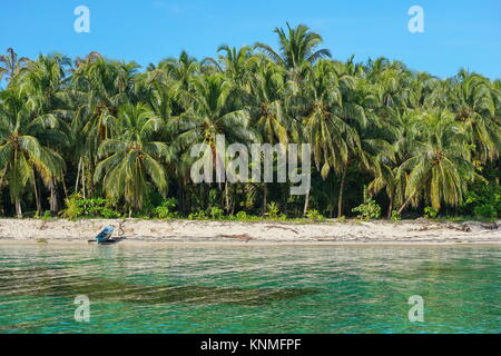 Die üppigen tropischen Strand mit Kokospalmen und einem hölzernen Einbaum auf dem Sand, Karibik, Bocas del Toro, Panama, Mittelamerika Stockfoto