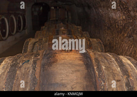 Eiche cork Nahaufnahmen, einem alten Weinkeller mit Fässern aus Eichenholz, Fässer für Wein in alten Kellern Stockfoto