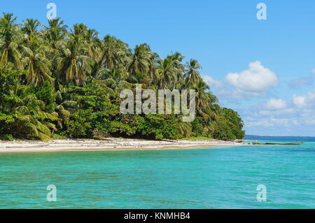 Tropische Insel Küste mit üppiger Vegetation, Bastimentos Marine National Park, Bocas del Toro, Panama, Mittelamerika Stockfoto