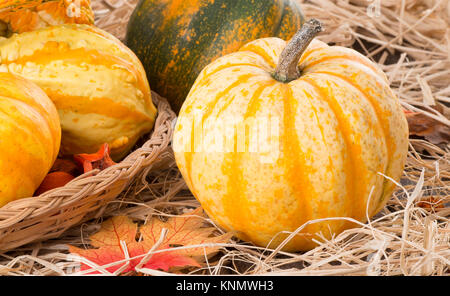 Nahaufnahme der Bunte Herbst Kürbisse auf Stroh Stockfoto