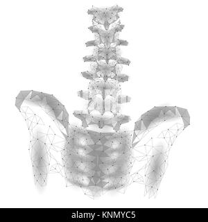 Die menschliche Wirbelsäule Hüfte lumbale Radikulitis Schmerz Low Poly. Geometrische vieleckige Partikelfilter Dreieck Point Line die zukünftige Medizin technik Abstrakt grau weiß Vector Illustration Stock Vektor