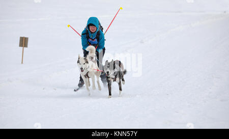 DESTNE, TSCHECHISCHE REPUBLIK - 27 Januar, 2017: Frau auf Langlauf. Langlaufen mit Hunden. Stockfoto