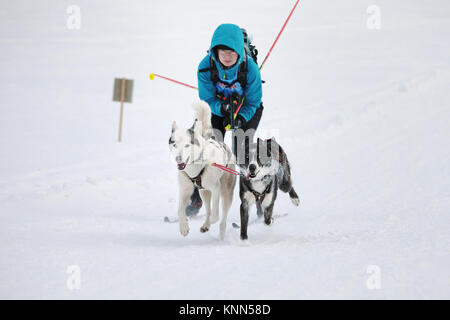 DESTNE, TSCHECHISCHE REPUBLIK - 27 Januar, 2017: Frau auf Langlauf. Langlaufen mit Hunden. Stockfoto