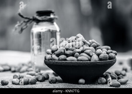 [Arachis hypogaea] Rohe Erdnuss in ein irdenes Gefäß mit Erdnussöl auf einem gunny Hintergrund.; Stockfoto