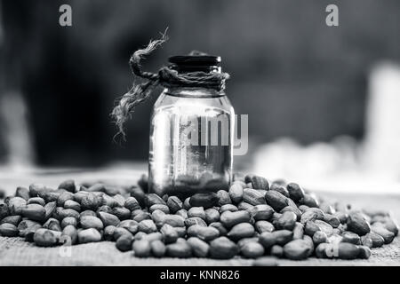 [Arachis hypogaea] Rohe Erdnuss in ein irdenes Gefäß mit Erdnussöl auf einem gunny Hintergrund.; Stockfoto