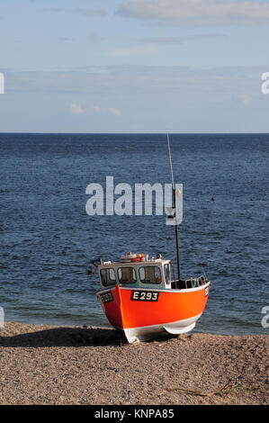 Angeln Boot am Strand von Branscombe, Devon zog Strände Stockfoto