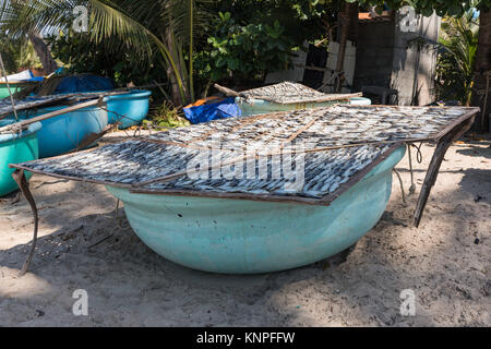 Mui Ne White Sandy Beach, Angelboote/Fischerboote am Strand, Vietnam. Asien Stockfoto