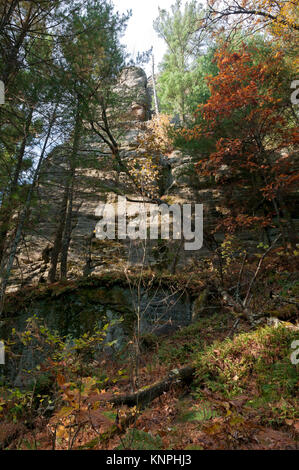 Felsen und Wald im Herbst bei petenwell bluff in Juneau County necedah Wisconsin Stockfoto